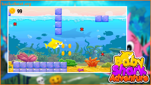 Baby shark : Doo shark in the sea screenshot