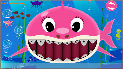 Baby Shark Music screenshot