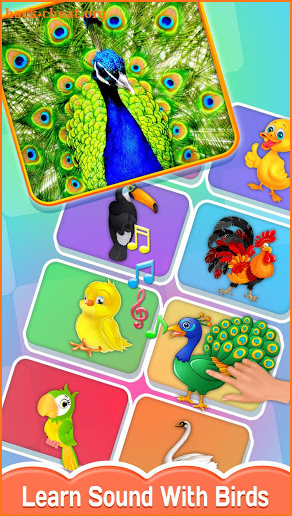 Baby Touch - Animal, Birds & Vehicles Sound screenshot