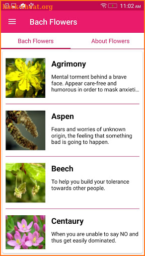 Bach Flower Remedies screenshot