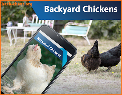 Backyard Chickens screenshot