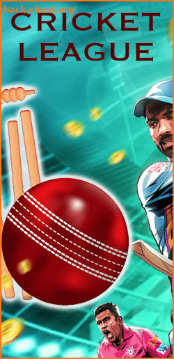 Ball Cricket screenshot