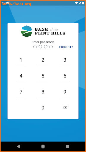 Bank Flint Hills screenshot