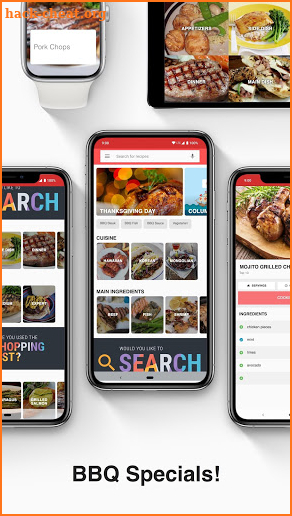 Barbecue Recipes free - Grilling & BBQ screenshot