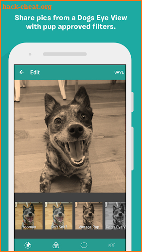 BarkCam screenshot