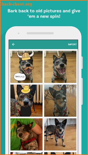 BarkCam screenshot