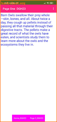 Barn Owl TB03 screenshot