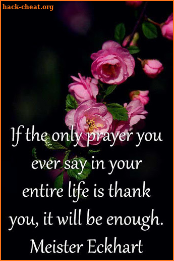 Be Thankful Quotes screenshot