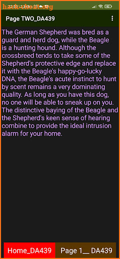 Beagle Shepherd screenshot