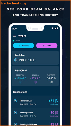 Beam Wallet screenshot