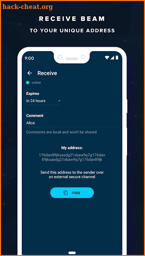 Beam Wallet screenshot