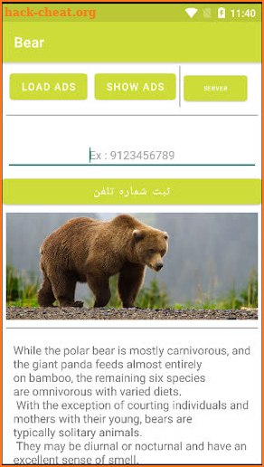 Bear screenshot