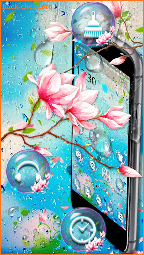 Beautiful Flower With Rain Drops Theme screenshot