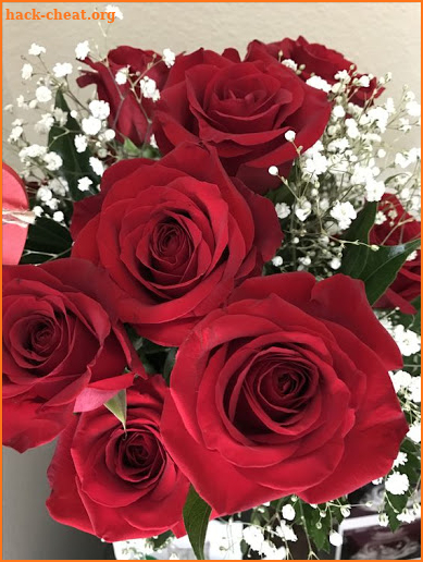 Beautiful flowers and roses Images Gif screenshot