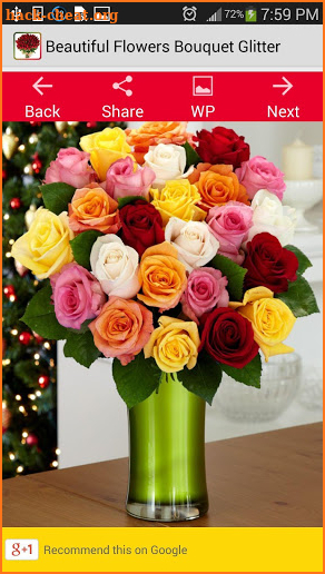 Beautiful Flowers Bouquet Glit screenshot