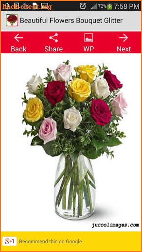 Beautiful Flowers Bouquet Glit screenshot