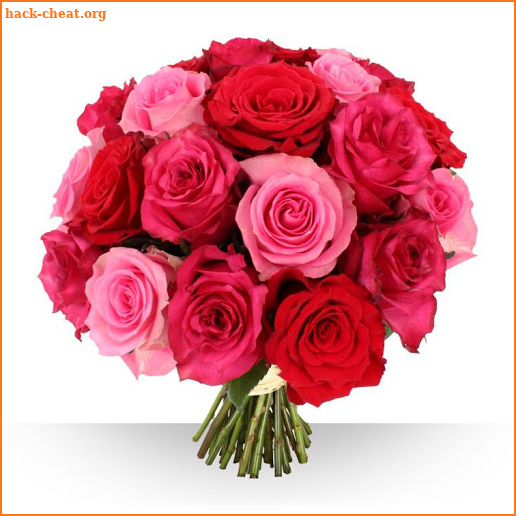 Beautiful Flowers Bouquet Of Roses 🌹 screenshot