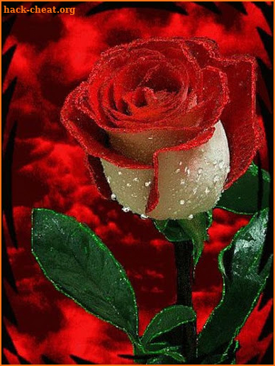 Beautiful Roses and Flowers Images screenshot