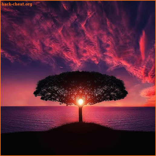 Beautiful sunsets Jigsaw Puzzles screenshot