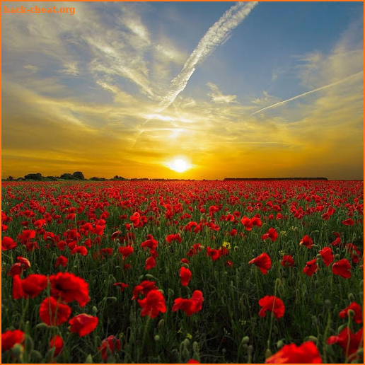 Beautiful sunsets Jigsaw Puzzles screenshot