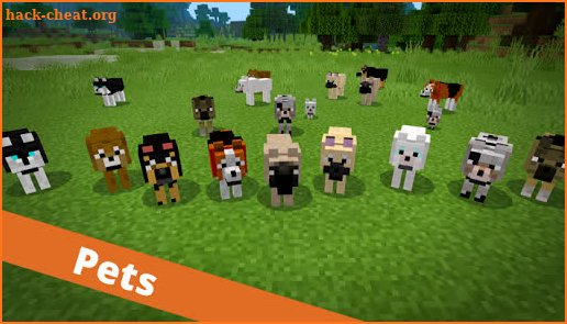 Bedrock Addons screenshot