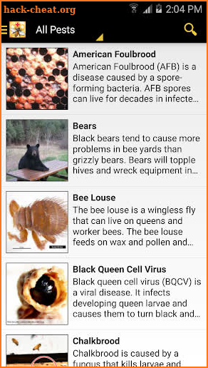 Bee Health screenshot