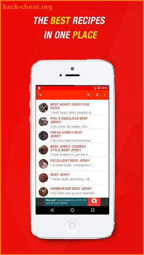 Beef Jerky Recipes screenshot