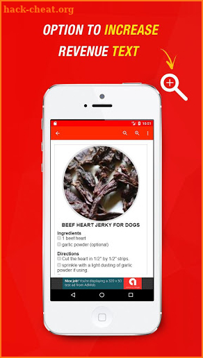 Beef Jerky Recipes screenshot