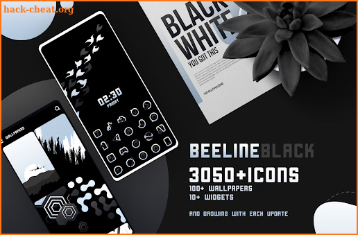 BeeLine Black IconPack screenshot