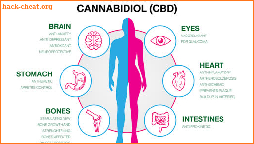 Best Free CBD Oil Guide Course for Beginners screenshot