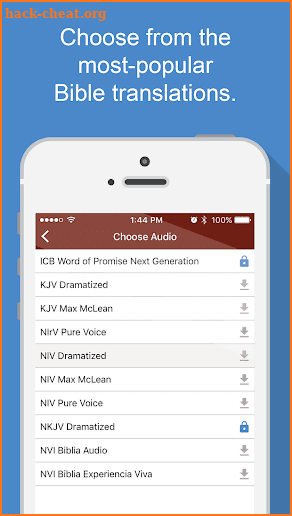 Bible Audio screenshot