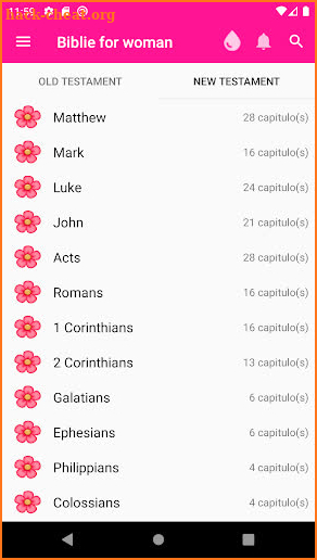 Bible for woman + audio screenshot