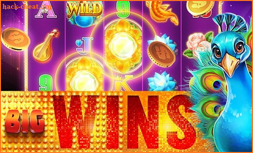 Big Bonus Slots Free Slot Game screenshot