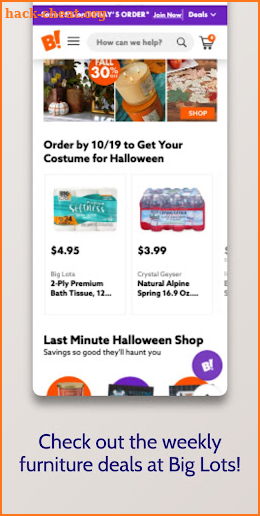Big Lot's online shopping app screenshot