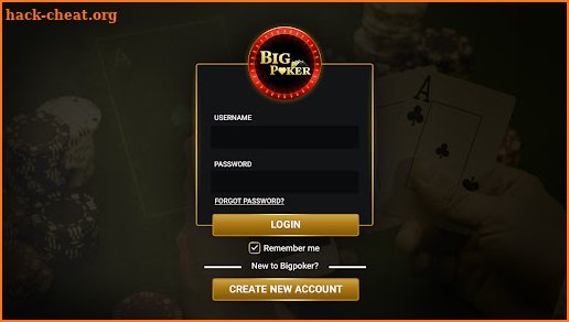 BigPoker screenshot