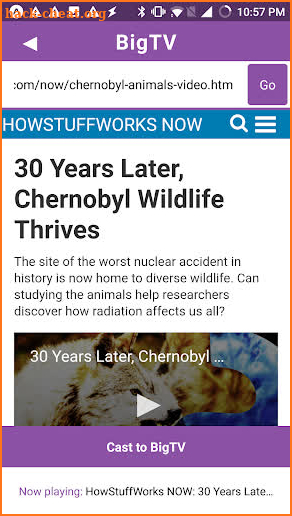 BigTV: Cast videos from any website screenshot