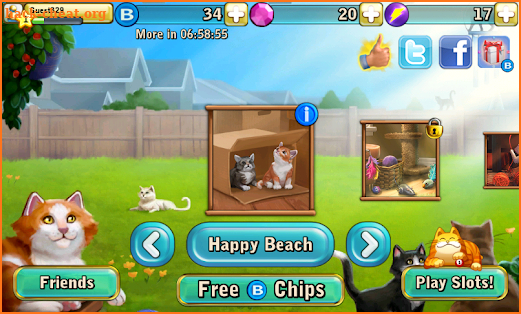 Bingo Cats screenshot