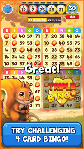 Bingo:  Free the Pets screenshot