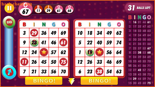 Bingo - Offline Free screenshot