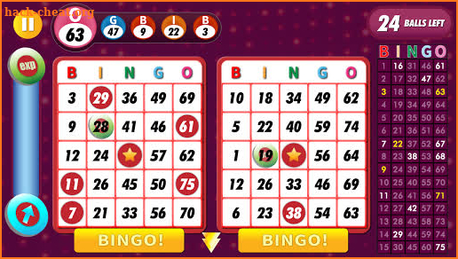 Bingo - Offline Free screenshot