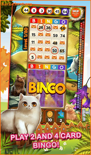 Bingo Pets Mania: Cat Craze screenshot