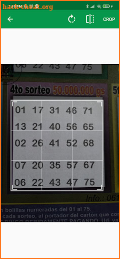 Bingo Winner screenshot