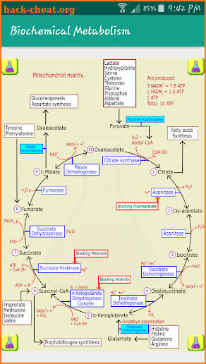 Biochemical metabolism screenshot