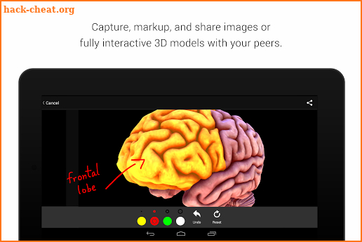 BioDigital Human - 3D Anatomy screenshot