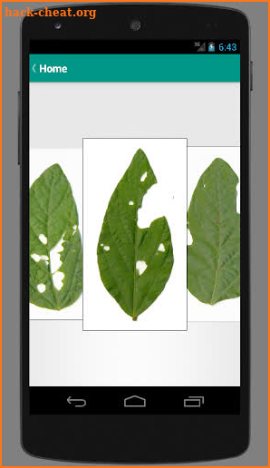 BioLeaf - Foliar Analysis screenshot