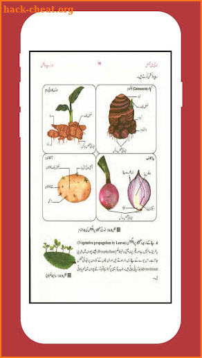 Biology 10 Urdu Medium (Offline) screenshot