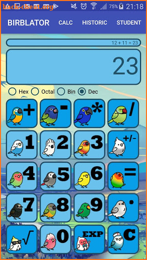 BIRBLATOR screenshot