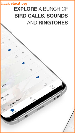 Bird Calls, Sounds & Ringtones screenshot
