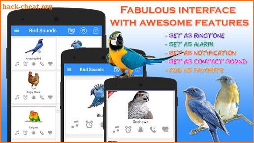 Bird Calls, Sounds & Ringtones for mind relaxation screenshot