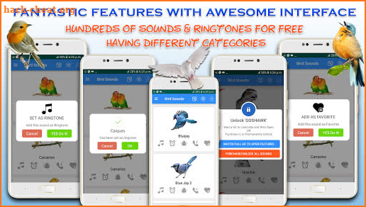 Bird Calls, Sounds & Ringtones for mind relaxation screenshot